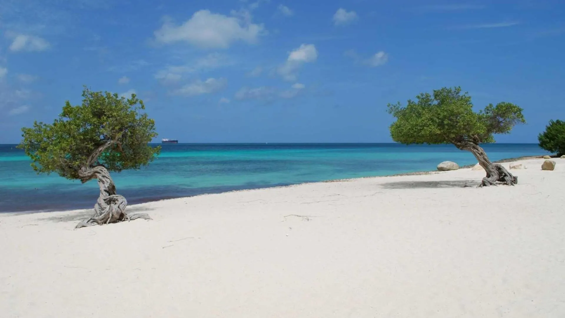 Σπίτι διακοπών Beachfront - Ocean Comfort 2Br Condo - P216 Παλμ Μπιτς