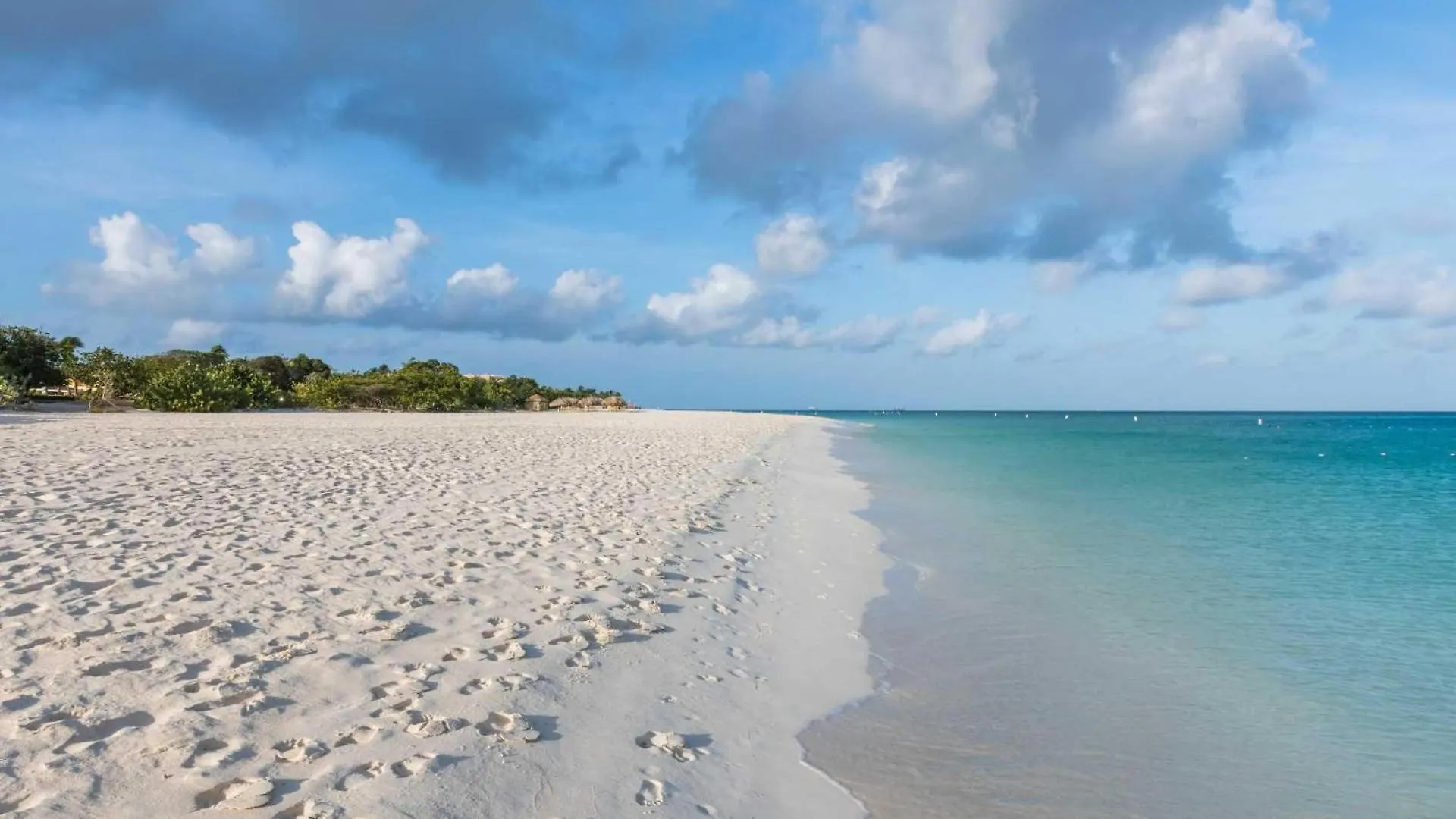 Σπίτι διακοπών Beachfront - Ocean Comfort 2Br Condo - P216 Παλμ Μπιτς Αρούμπα