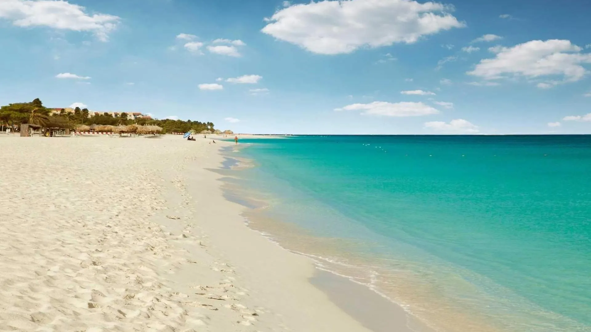 Beachfront - Ocean Comfort 2Br Condo - P216 Παλμ Μπιτς Σπίτι διακοπών