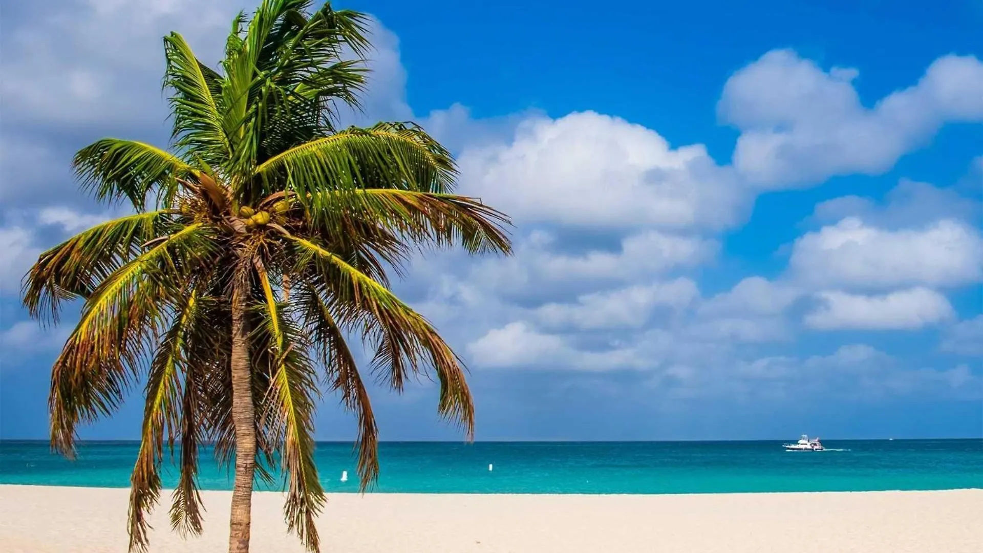 Beachfront - Ocean Comfort 2Br Condo - P216 شاطئ بالم بيت للعطل