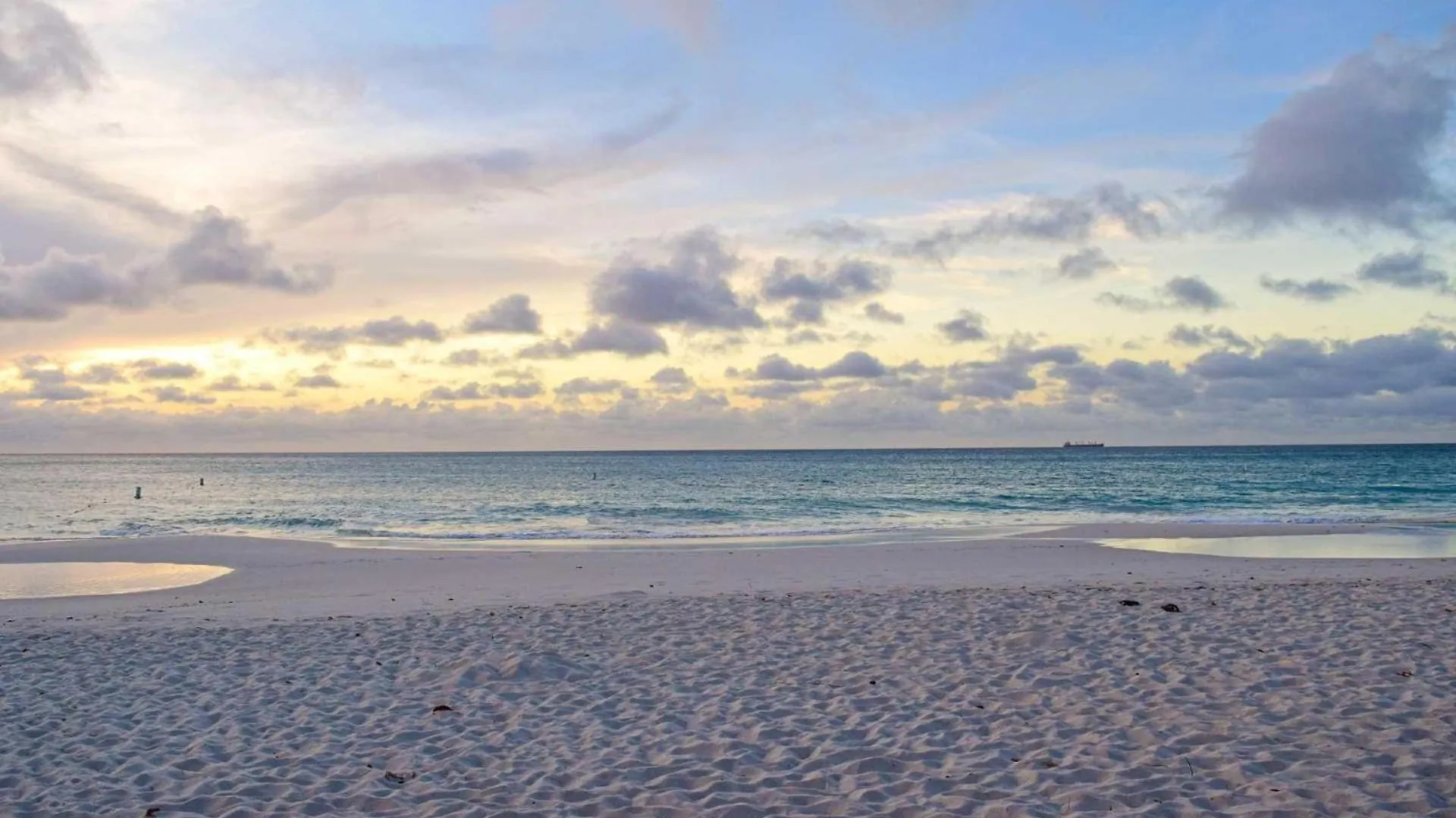 بيت للعطل Beachfront - Ocean Comfort 2Br Condo - P216 شاطئ بالم