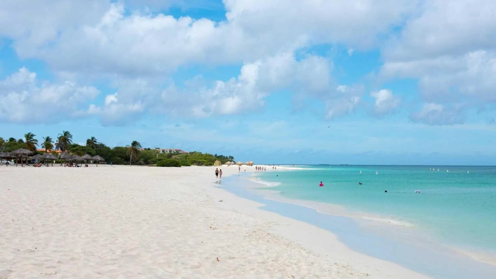 Beachfront - Ocean Comfort 2Br Condo - P216 شاطئ بالم أروبا